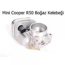 Mini Cooper R50 Boğaz Kelebeği