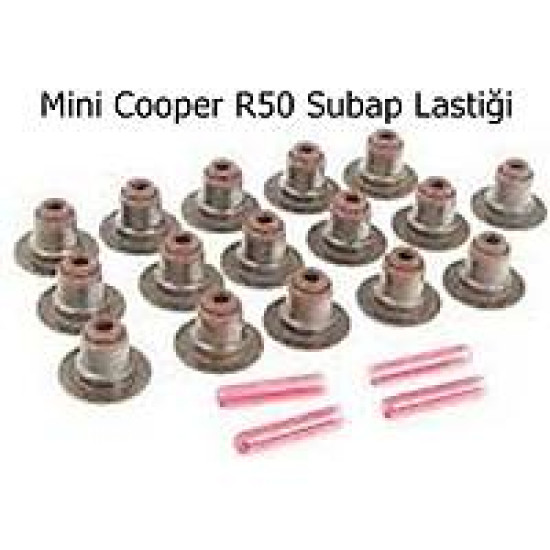 Mini Cooper R50 Subap Lastiği Takım