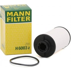 Audi A3 2004 Model Sonrası DSG Otomatik Şanzıman Filtresi Mann Orjinal