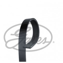 11281736719 BMW E32 E31 V Kayışı GATES 6PK.1078