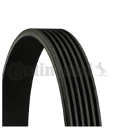11281736719 BMW E32 E31 V Kayışı CONTITECH 6PK 1080