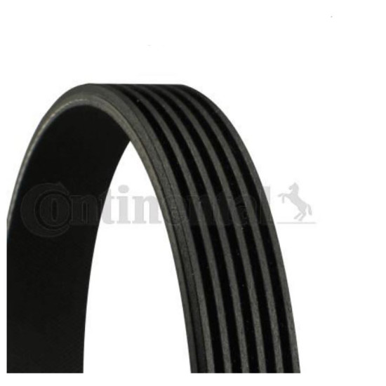 11281736719 BMW E32 E31 V Kayışı CONTITECH 6PK 1080