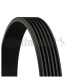 11281736719 BMW E32 E31 V Kayışı CONTITECH 6PK 1080