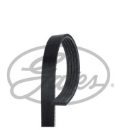 11288477783 BMW X5 E53 V Kayışı GATES 5PK2020