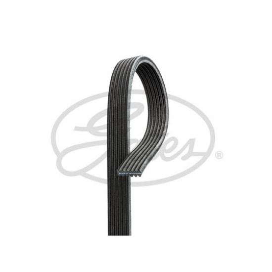 11288574957 BMW N47 Motor V Kayışı GATES 6DPK 1698