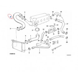 11531734455 BMW E36 M40 Radyatör Alt Hortumu Sağ IBRAS 35064
