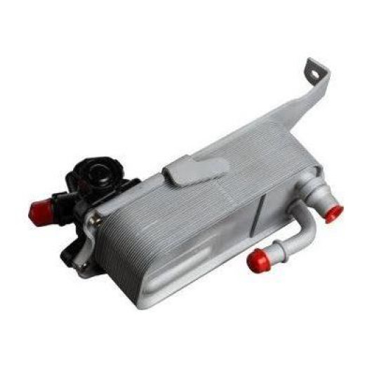 17217600553 BMW F20 F21 F22 F23 F30 F31 F34 F35 F32 F33 F36 Otomatik Şanzıman Yağ Soğutucusu NRF 310067