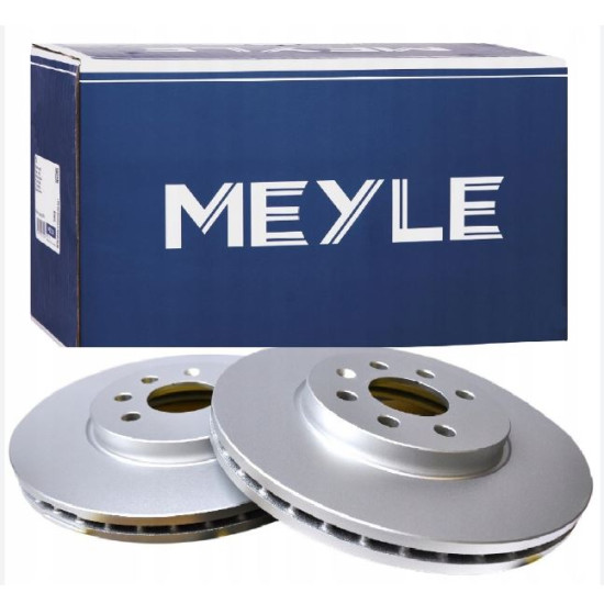 34216864054 BMW E65 E66 Arka Fren Diski (TAKIM) MEYLE 3155230052/PD