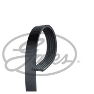 11287518250 Mini Cooper R50 R52 W10 V Kayışı GATES 6PK 1028